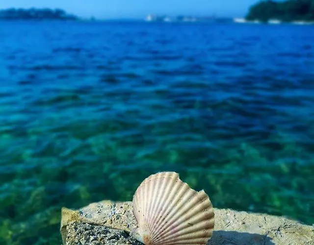 Διαμέρισμα Marina Πόρετς