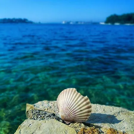 Apartamento Marina Poreč